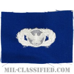 警備機能章 (ベーシック)（Security Police Functional Badge, Basic）[カラー/空軍ブルー生地/パッチ]の画像