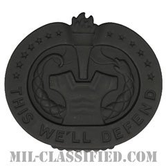 教育係軍曹識別章（Drill Sergeant Identification Badge）[サブデュード（ブラックメタル）/バッジ]の画像