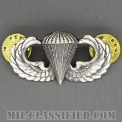 空挺章 (ベーシック)（Parachutist Badge, Basic）[カラー/1960s/燻し銀（銀張り・Silver Filled）/バッジ/中古1点物]の画像