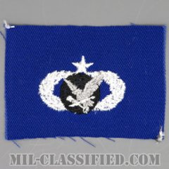 補給・燃料章 (シニア)（Supply and Fuels Badge, Senior）[カラー/空軍ブルー生地/パッチ]の画像