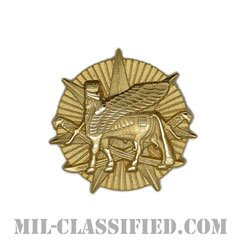 イラク多国籍軍（Multi-National Force - Iraq (MNF-I)）[カラー/クレスト（Crest・DUI・DI）バッジ]の画像