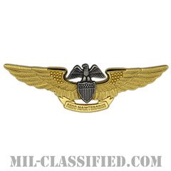 Professional Aviation Maintenance Officer [カラー/バッジ]の画像