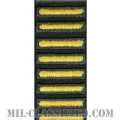 海外勤務(派遣)章（Overseas Service Bar）[カラー（グリーン）/カットエッジ/女性用（-1996）/パッチ]の画像