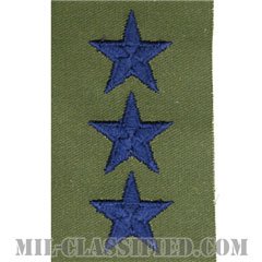 中将（Lieutenant General (LTG)）[サブデュード/空軍階級章（肩用）/パッチ/ペア（2枚1組）]の画像