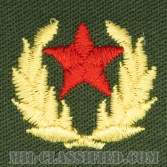 仮想敵部隊（対抗部隊）ハンビーズ章（レッド）（Opposing Force (OPFOR), HAMBY'S Outstanding Performance Award）[カラー/パッチ]の画像