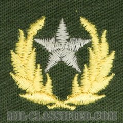 仮想敵部隊（対抗部隊）ハンビーズ章（シルバー）（Opposing Force (OPFOR), HAMBY'S Outstanding Performance Award）[カラー/パッチ]の画像
