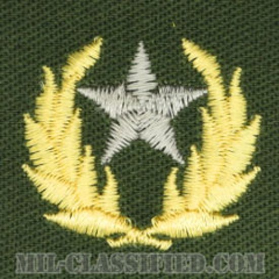 仮想敵部隊（対抗部隊）ハンビーズ章（シルバー）（Opposing Force (OPFOR), HAMBY'S Outstanding Performance Award）[カラー/パッチ]画像