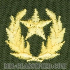 仮想敵部隊（対抗部隊）ハンビーズ章（ゴールド）（Opposing Force (OPFOR), HAMBY'S Outstanding Performance Award）[カラー/パッチ]の画像