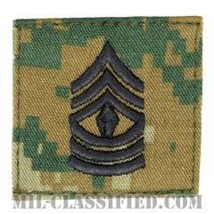 先任曹長（First Sergeant (1stSgt)）[MARPAT/ウッドランド/海兵隊階級章/ベルクロ付パッチ]の画像