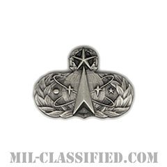 宇宙ミサイル章 (マスター)（Space and Missile Badge, Master）[カラー/燻し銀/ミニサイズ/バッジ]の画像