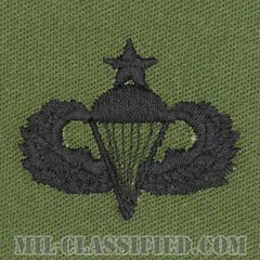 空挺章 (シニア)（Parachutist Badge, Senior, Senior）[サブデュード/パッチ]の画像