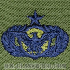 警備機能章 (シニア)（Security Police Functional Badge, Senior）[サブデュード/ブルー刺繍/パッチ]の画像