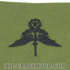 自由降下章 (マスター) （Military Freefall Parachutist Badge, HALO, Jumpmaster）[サブデュード/パッチ]の画像