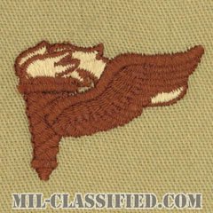 先導降下員章 (パスファインダー)（Pathfinder Badge）[デザート/パッチ]の画像