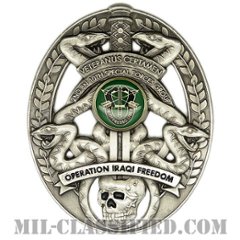 第10特殊部隊群第2大隊イラクの自由作戦（イラク戦争）記念章（2nd Battalion, 10th Special Forces Group, OIF）[カラー/燻し銀/バッジ]の画像