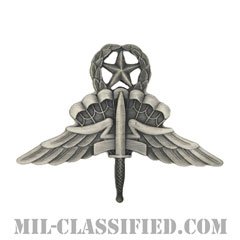 自由降下章 (マスター) （Military Freefall Parachutist Badge, HALO, Jumpmaster）[カラー/燻し銀/バッジ]の画像