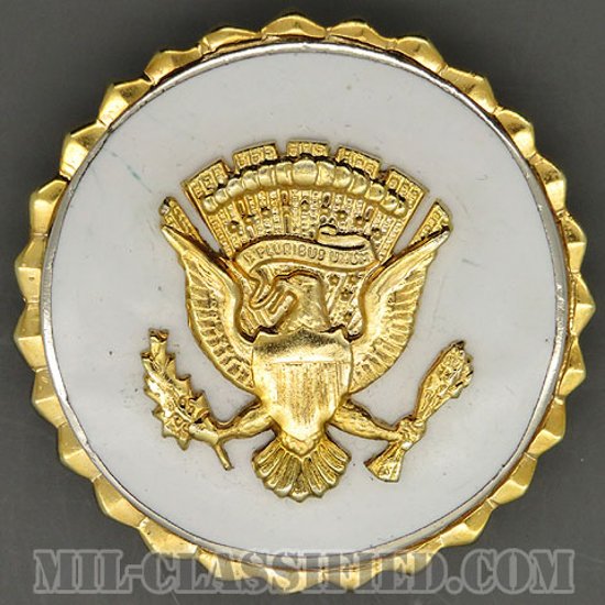 副大統領奉仕章（Vice Presidential Service）[カラー/バッジ/中古1点物]画像