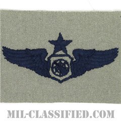空中戦闘管制章 (シニア)（Air Battle Manager Badge, Senior）[ABU/パッチ]の画像