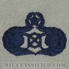 緊急管理章 (マスター)（Emergency Management Badge, Master）[ABU/パッチ]の画像