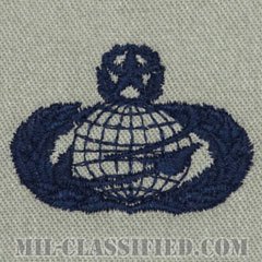 人材・人事章 (マスター)（Manpower and Personnel Badge, Master）[ABU/パッチ]の画像