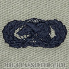 補給・燃料章 (ベーシック)（Supply and Fuels Badge, Basic）[ABU/パッチ]の画像