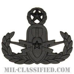 爆破物処理章 (マスター) （Explosive Ordnance Disposal (EOD), Badge, Master）[サブデュード（ブラックメタル）/バッジ]の画像