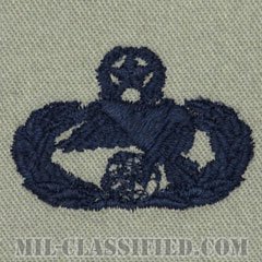 輸送章 (マスター)（Transportation Badge, Master）[ABU/パッチ]の画像