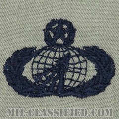 調達・財務管理章 (マスター)（Acquisition and Financial Management Badge, Master）[ABU/パッチ]の画像