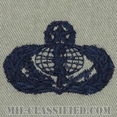 支援章 (マスター)（Services Badge, Master）[ABU/パッチ]の画像