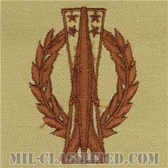 ミサイル運用章 (ベーシック)（Missile Operations Badge, Basic）[デザート/パッチ]の画像