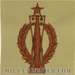 ミサイル運用章 (シニア)（Missile Operations Badge, Senior）[デザート/パッチ]の画像