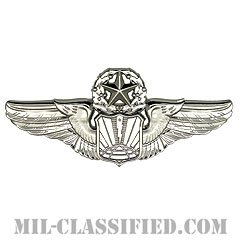 遠隔操縦航空機縦士章 (マスター・パイロット)（Remotely Piloted Aircraft Pilot Badge, Master）[カラー/鏡面仕上げ/バッジ]の画像