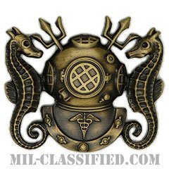 Diving Medical [カラー/燻し金/バッジ]の画像