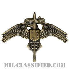 アメリカ海兵隊特殊作戦コマンド章（MARSOC）[カラー/燻し金/バッジ]の画像