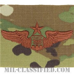 航空士章 (ナビゲーター・シニア)（Navigator/Observer Badge, Senior）[OCP/ブラウン刺繍/パッチ]の画像