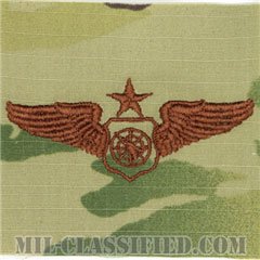 空中戦闘管制章 (シニア)（Air Battle Manager Badge, Senior）[OCP/ブラウン刺繍/パッチ]の画像