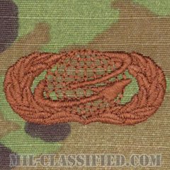 人材・人事章 (ベーシック)（Manpower and Personnel Badge, Basic）[OCP/ブラウン刺繍/パッチ]の画像