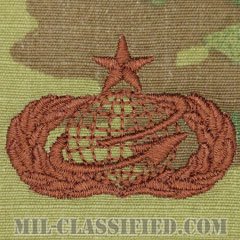 人材・人事章 (シニア)（Manpower and Personnel Badge, Senior）[OCP/ブラウン刺繍/パッチ]の画像