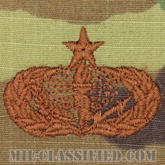 支援章 (シニア)（Services Badge, Senior）[OCP/ブラウン刺繍/パッチ]の画像