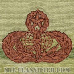 支援章 (マスター)（Services Badge, Master）[OCP/ブラウン刺繍/パッチ]の画像