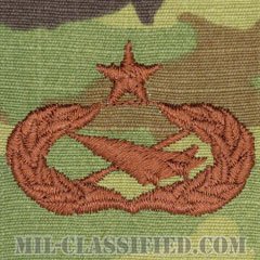 歴史家章 (シニア)（Historian Badge, Senior）[OCP/ブラウン刺繍/パッチ]の画像