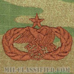 兵站即応章 (シニア)（Logistics Readiness Badge, Senior）[OCP/ブラウン刺繍/パッチ]の画像