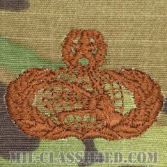 通信・情報管理章 (マスター)（Communications and Information Management Badge, Master）[OCP/ブラウン刺繍/パッチ]の画像