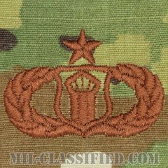 航空交通管制章 (シニア)（Air Traffic Control Badge, Senior）[OCP/ブラウン刺繍/パッチ]の画像