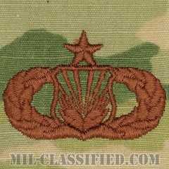 従軍牧師援助章 (シニア)（Chaplain Assistant Badge, Senior）[OCP/ブラウン刺繍/パッチ]の画像