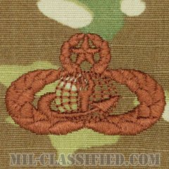 部隊支援記章 (マスター)（Force Support Badge, Master）[OCP/ブラウン刺繍/パッチ]の画像