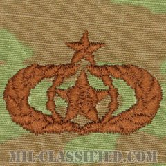 安全専門家章 (シニア)（Safety Specialist Badge, Senior）[OCP/ブラウン刺繍/パッチ]の画像