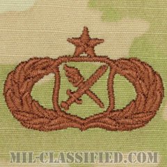 作戦研究章 (シニア・オペレーションズ・リサーチ)（Operations Research Analyst Badge, Senior）[OCP/ブラウン刺繍/パッチ]の画像