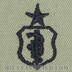 歯科章 (シニア)（Dental Corps Badge, Senior）[ABU/パッチ]の画像