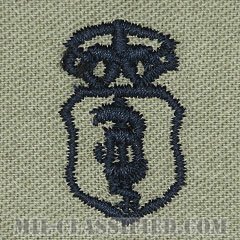 歯科章 (チーフ)（Dental Corps Badge, Chief）[ABU/パッチ]の画像